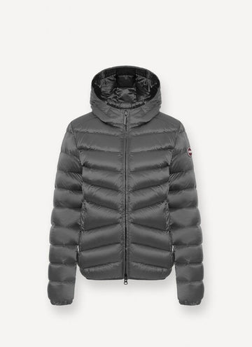 2219 2YO/506 COLMAR