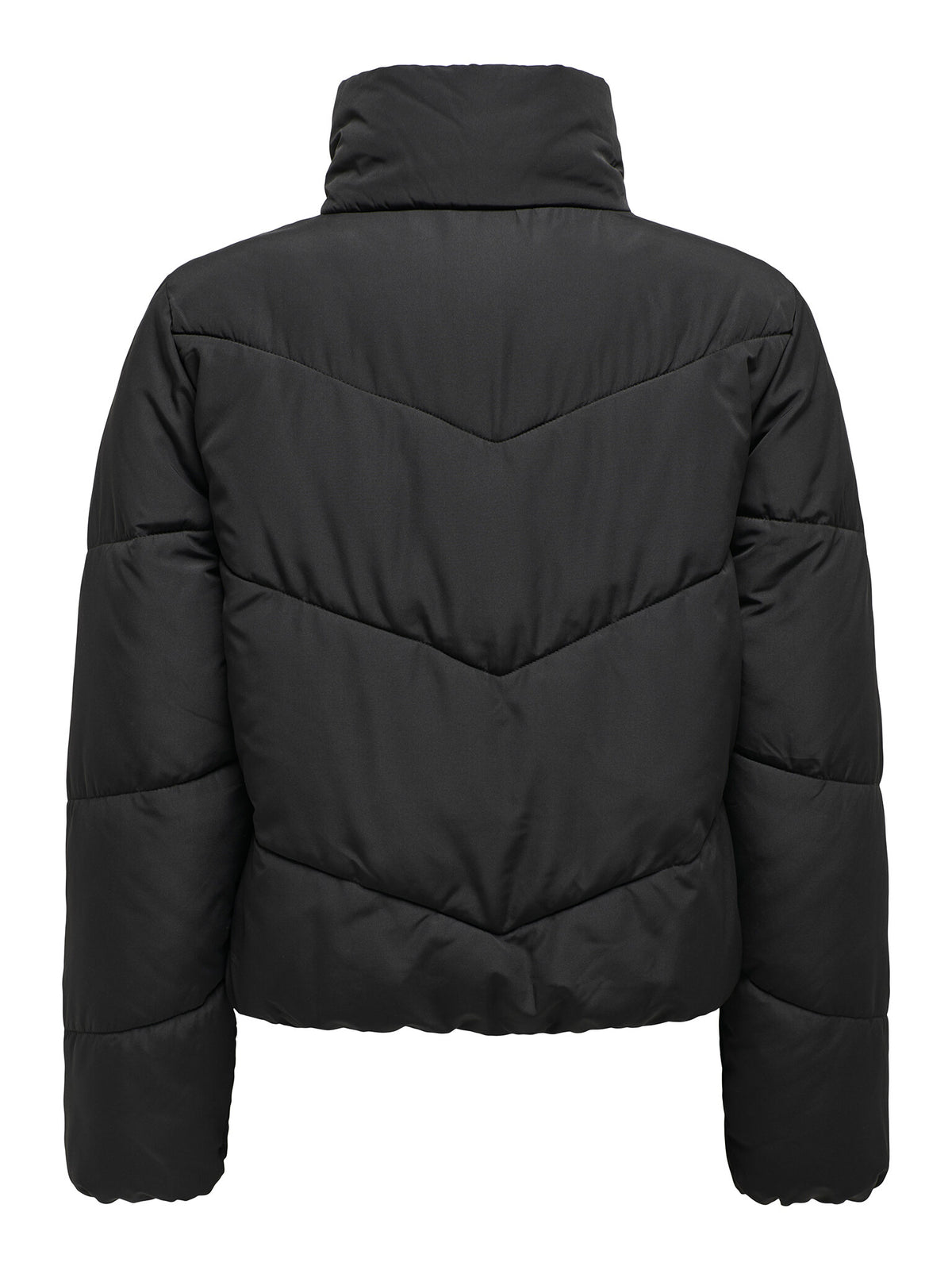 15308639/Black ONLY