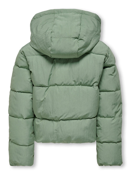 15278591/HEDGE GREEN ONLY KIDS