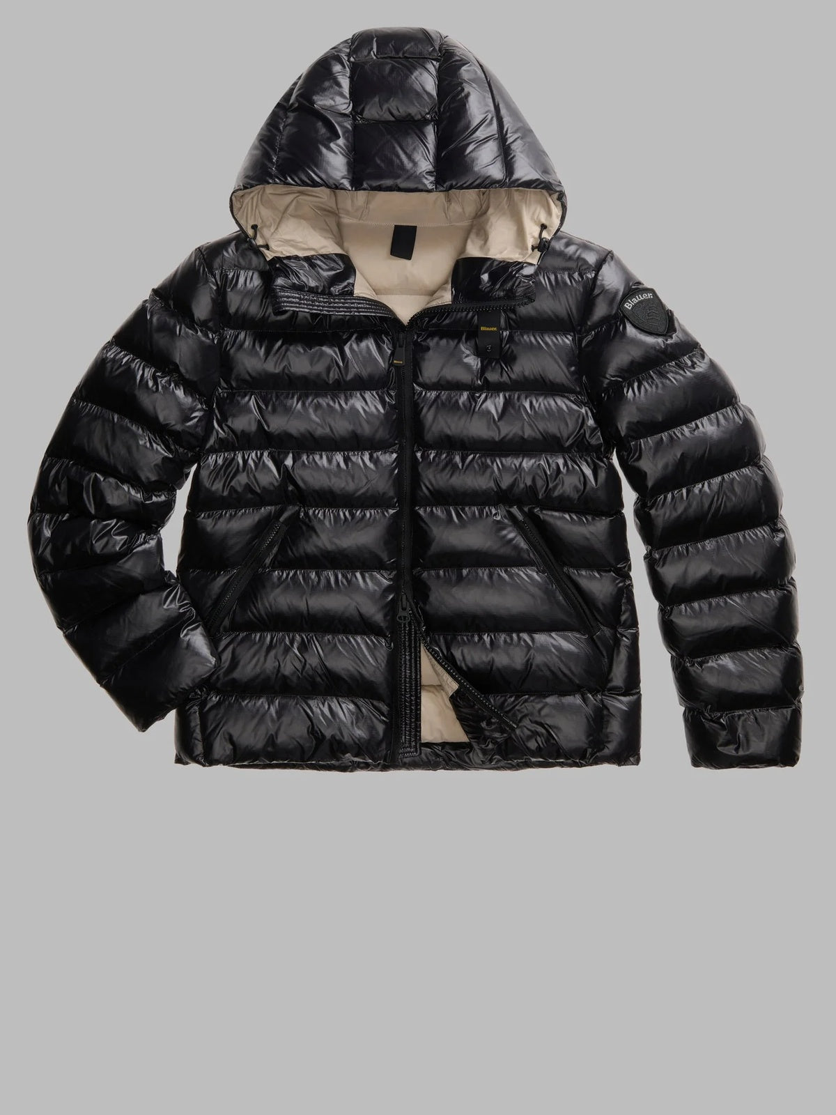26WBLUC02054 005958/999EI BLAUER