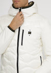26WBLUC08068 006355/102 BLAUER