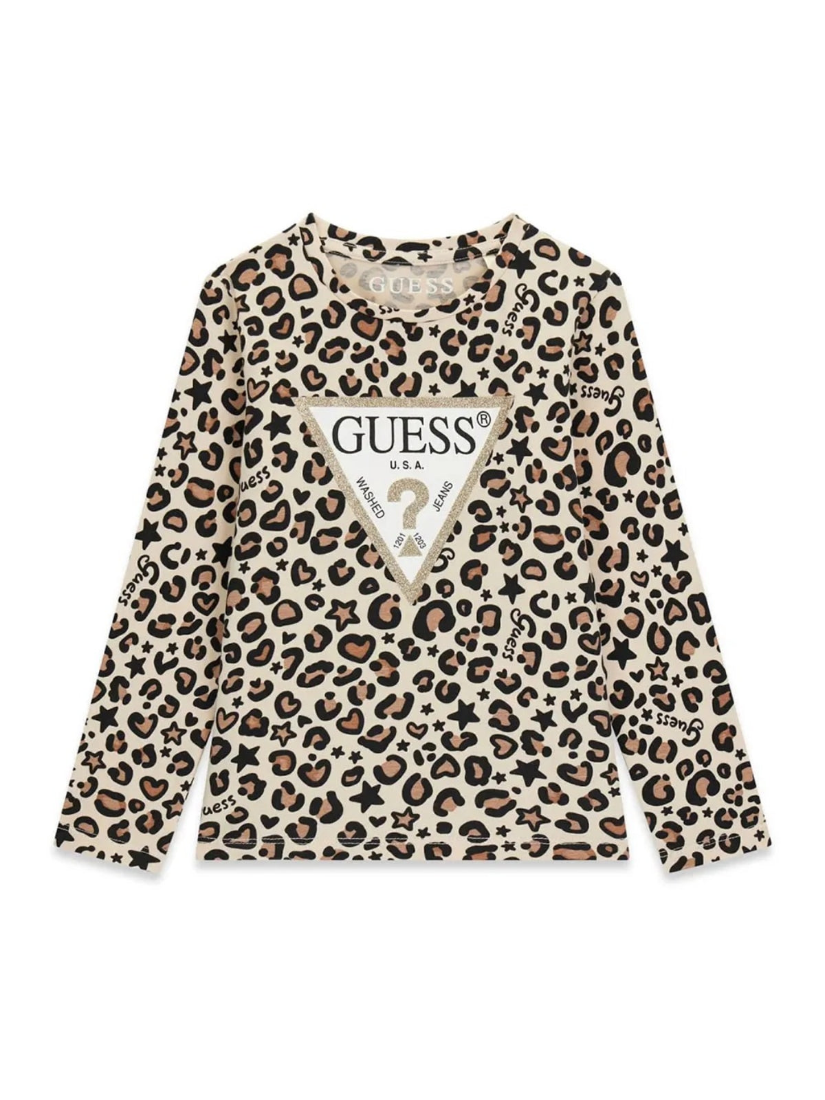 K6BI07K5805/PMTU GUESS