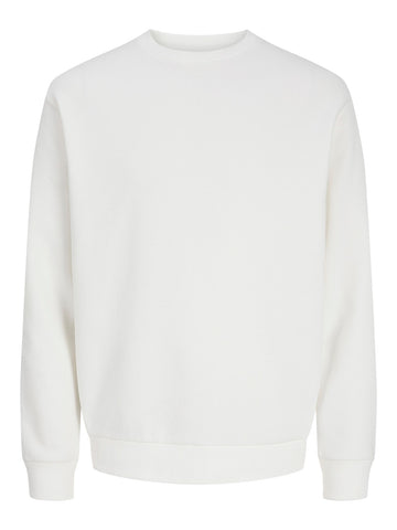 12249341/Cloud Dancer JACK AND JONES