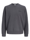 12287995/Asphalt JACK AND JONES