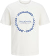 12298496/Cloud Dancer JACK AND JONES