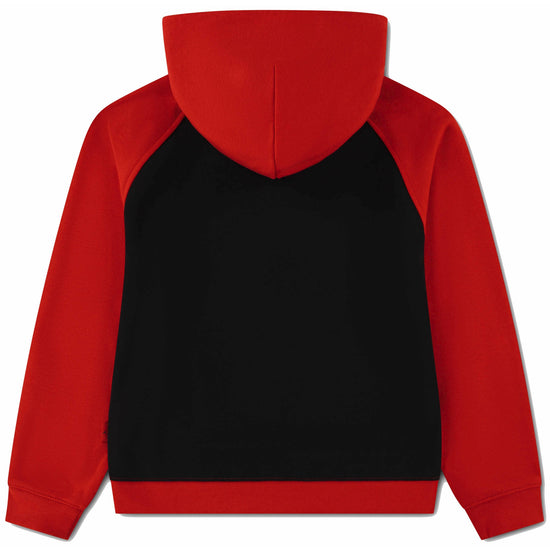 JDN MJ AIR HBR PO HOODIE 
