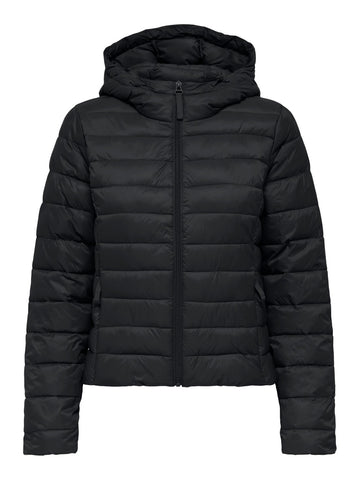 15352020/Black ONLY