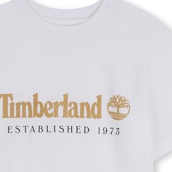 T60968/10P TIMBERLAND