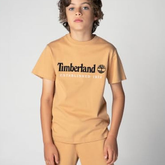 T60968/230 TIMBERLAND
