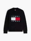 DM0DM23413/BDS TOMMY JEANS