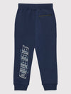 ACTIVE PANTS 