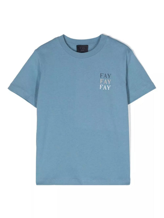 FS8P31 Z1173/626 FAY