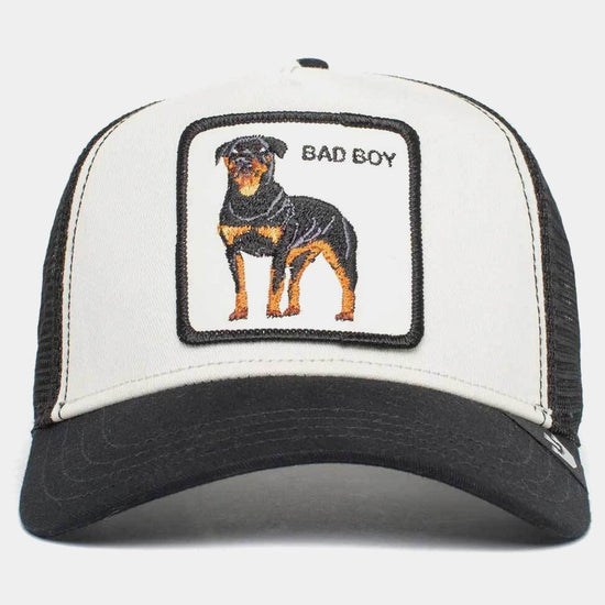 THE BADDEST BOY 
