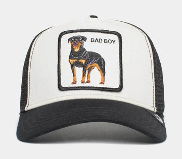 THE BADDEST BOY 