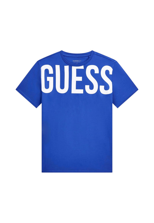 F6GI01J1314/G7M1 GUESS
