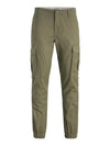 12262655/Olive Night JJ REBEL