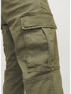 12262655/Olive Night JJ REBEL