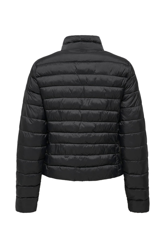 15351967/Black ONLY