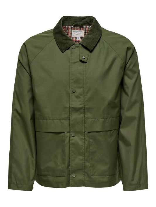 22031626/Olive Night ONLY&SONS