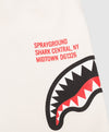 SHARK BASIC SHORTS IVO 