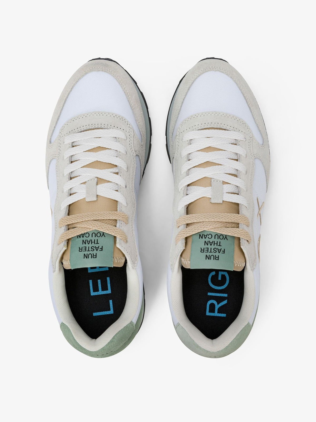 TOM MULTICOLOR 