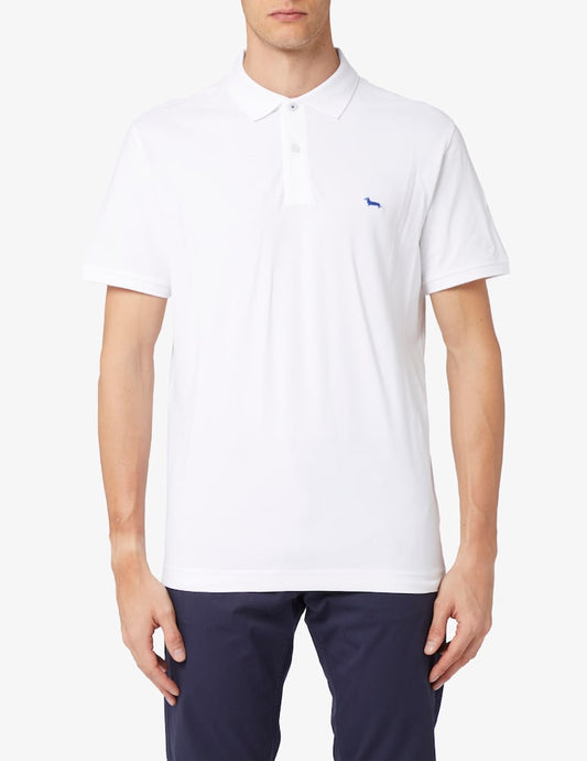 POLO UOMO COTONE 