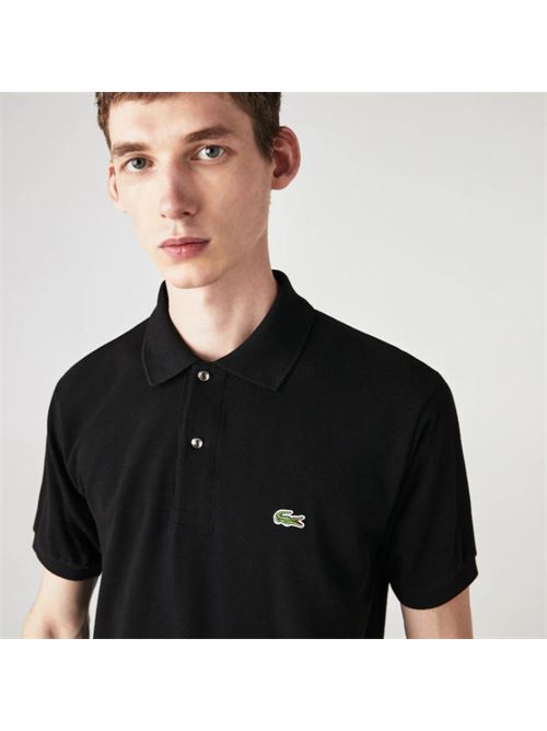 POLO LACOSTE | 1212/031