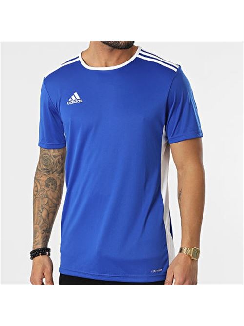 ENTRADA 18 JSY      BOBLUE/WHITE ADIDAS | CF1037/ND