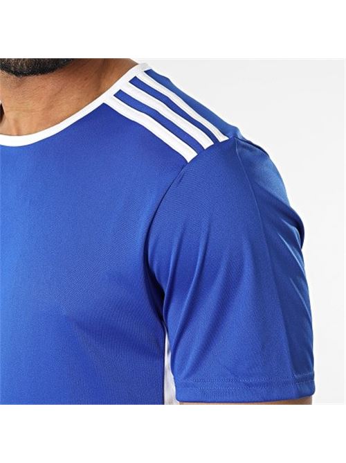 ENTRADA 18 JSY      BOBLUE/WHITE ADIDAS | CF1037/ND