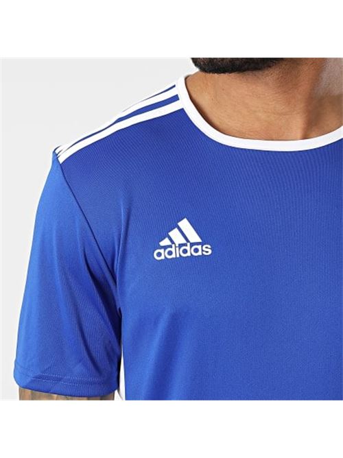 ENTRADA 18 JSY      BOBLUE/WHITE ADIDAS | CF1037/ND