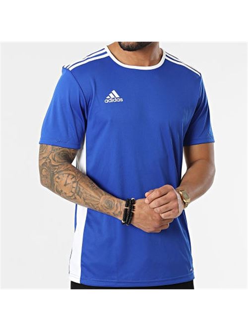 ENTRADA 18 JSY      BOBLUE/WHITE ADIDAS | CF1037/ND