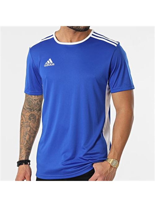 ENTRADA 18 JSY      BOBLUE/WHITE ADIDAS | CF1037/ND